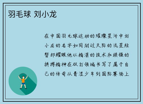 羽毛球 刘小龙