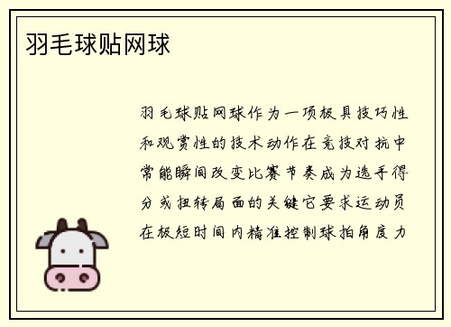 羽毛球贴网球